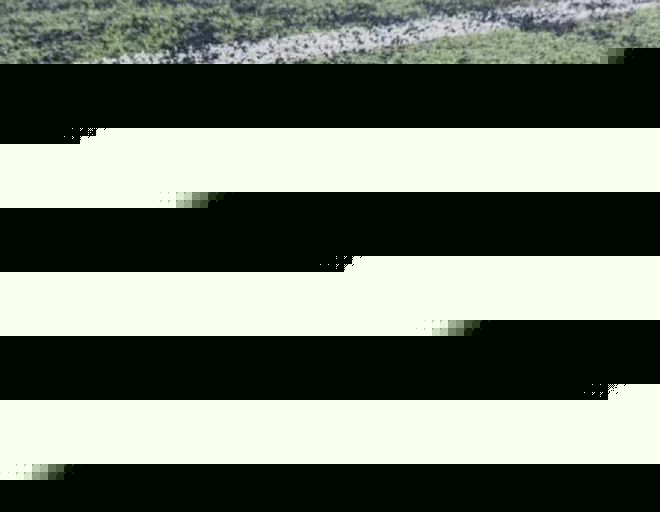 好事！卫冕冠军+北京国安参加亚冠 ！如果打的好 也是多条财路
