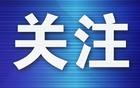 球市火爆，高价票冒头   大连英博：追责